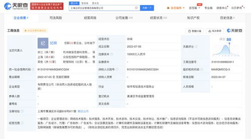 螞蟻集團子公司資本激增9900%，加速布局信息系統集成服務